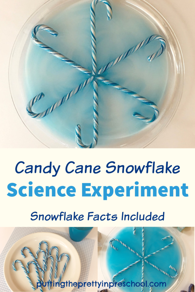 Try this easy-to-do candy cane snowflake experiment today. It uses simple supplies and has immediate results. Snowflake facts are included.
