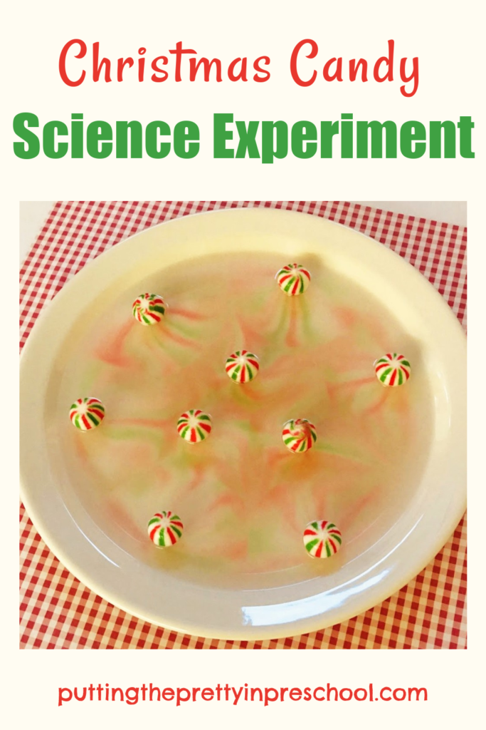 A simple Christmas candy science experiment with quick results. Can't you smell the candy already?
