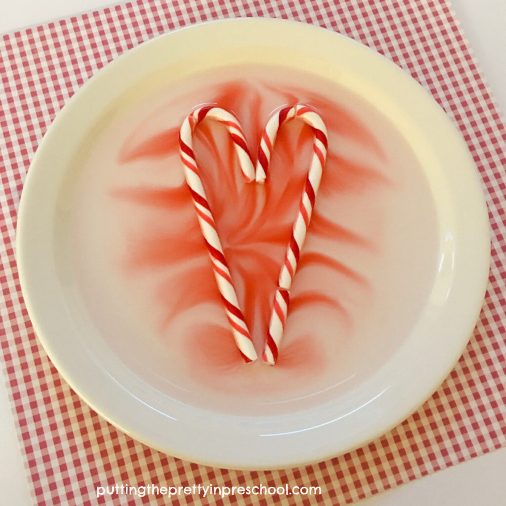 This easy to perform heart-themed candy cane science experiment is perfect for Valentine's Day. Give it a try!