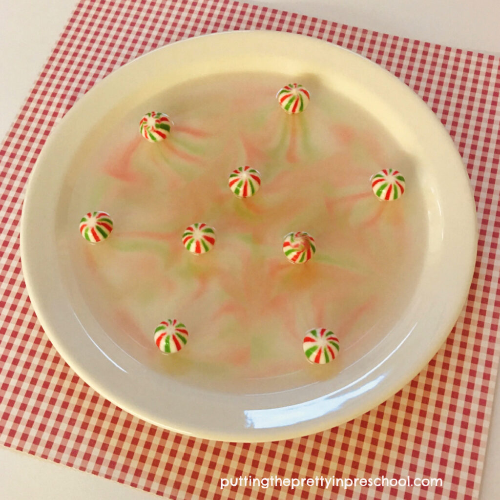 Try this Christmas candy Science experiment today! It is easy to do and has immediate results.