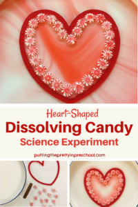 How to perform a heart-shaped dissolving candy science experiment. A simple experiment with amazing results.