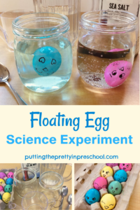 How to perform a simple floating egg science experiment with easy-to-gather supplies. Decorated eggs add artistic flare to this activity.