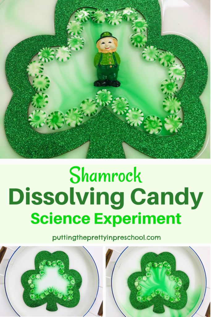 Try this stunning, easy-to-perform shamrock dissolving candy science experiment today! It brings a WOW factor.