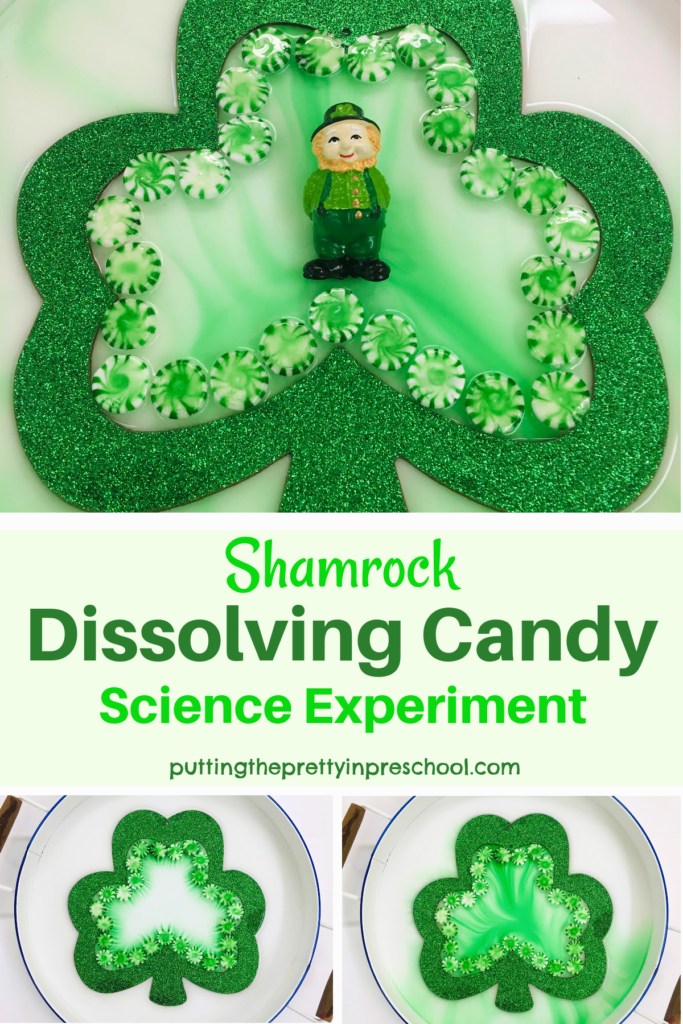 http://puttingtheprettyinpreschool.com/wp-content/uploads/2022/03/Shamrock-Dissolving-Candy-Experiment-683x1024.png