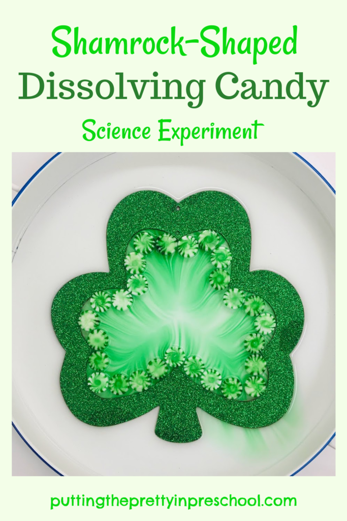 Try this stunning, easy-to-perform shamrock dissolving candy Science experiment today! It brings a WOW factor.