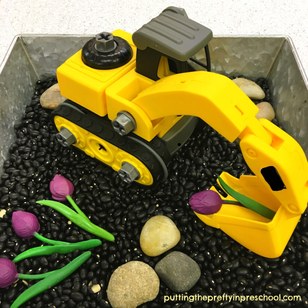 A bean-based sensory bin inspired by the storybook "The Digger And the Flower" by Joseph Kuefler.