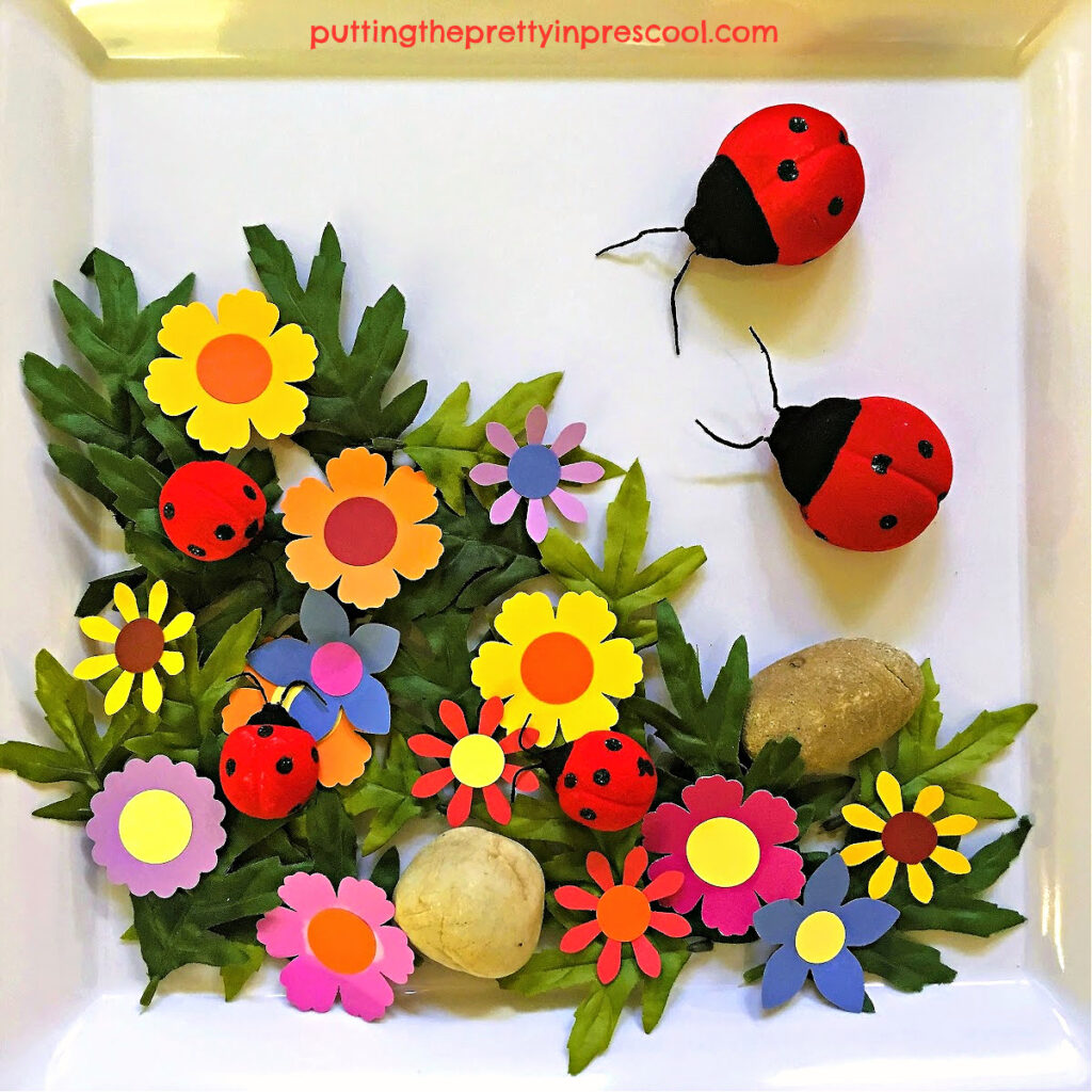 Make this eye-pleasing ladybug sensory tray for your little learners today! Facts about ladybugs and flowers included.