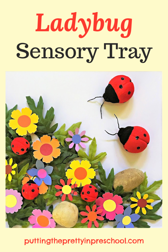 Make this eye-pleasing ladybug sensory tray for your little learners today! Facts about ladybugs and flowers included.