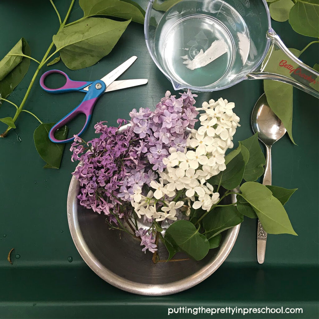 Lilac flowers are the stars of this aromatic sensory play invitation.