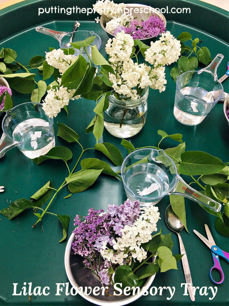 Lilac flowers are the stars of this aromatic tuff tray play invitation.