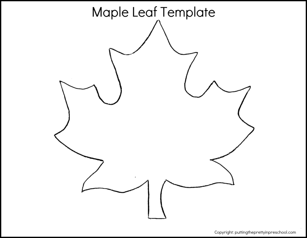 Download this free maple leaf template for art and craft activities.