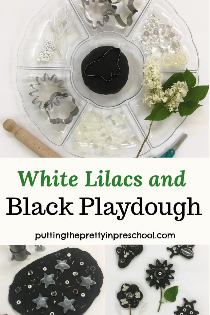 Try this unexpected white lilac and black playdough combination. It goes well with cookie cutters and white and transparent loose parts.