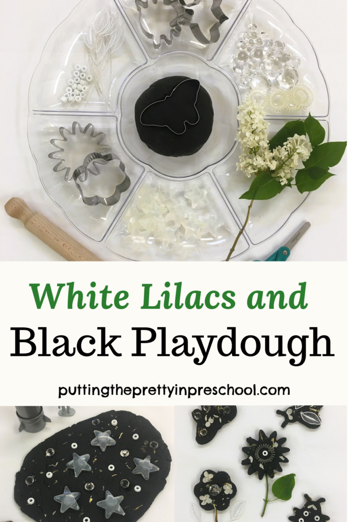 Black Playdough 