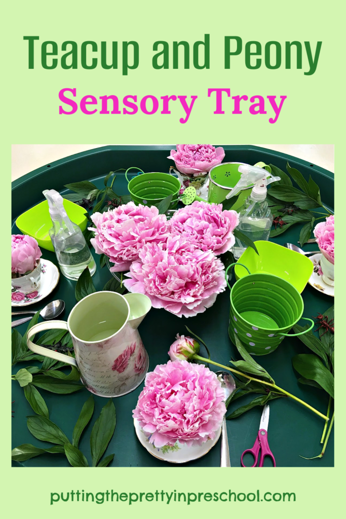 This beautiful peony and teacup sensory tray allows for practice with scissors skills and eye-hand coordination. Peony facts are included.