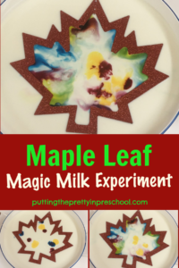 Try this mesmerizing color magic milk experiment today! A maple leaf frame adds an artistic twist to the kitchen science experiment.