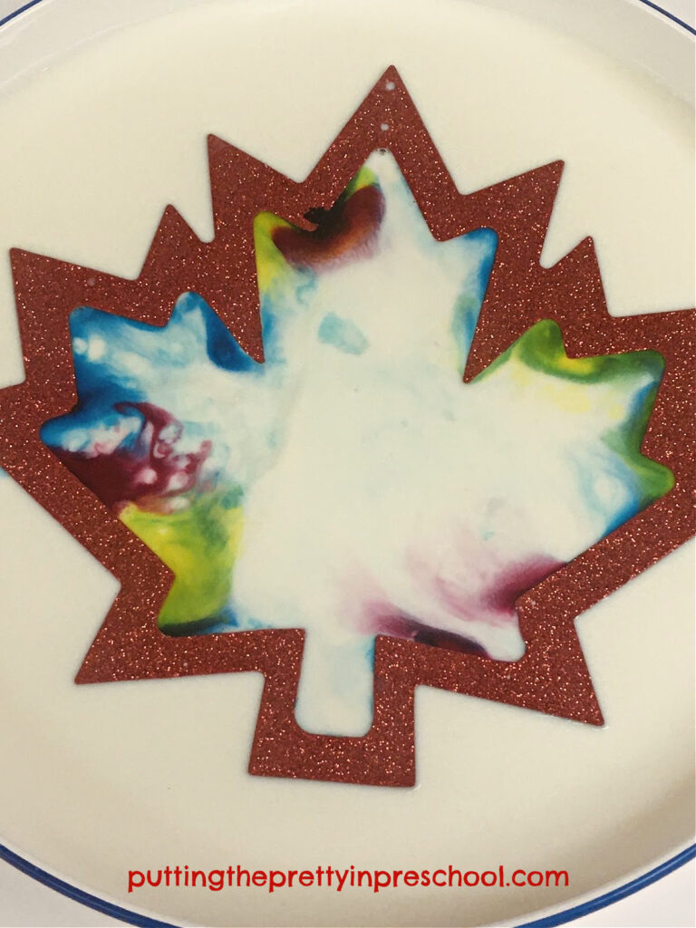 Watch the color magically spread around the maple leaf frame in this kitchen science experiment.