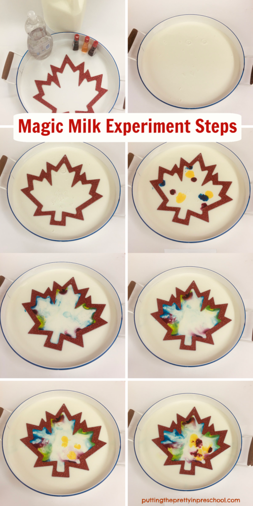 Effortlessly perform this color magic milk experiment in four easy steps. A maple leaf frame enhances the kitchen science experiment.
