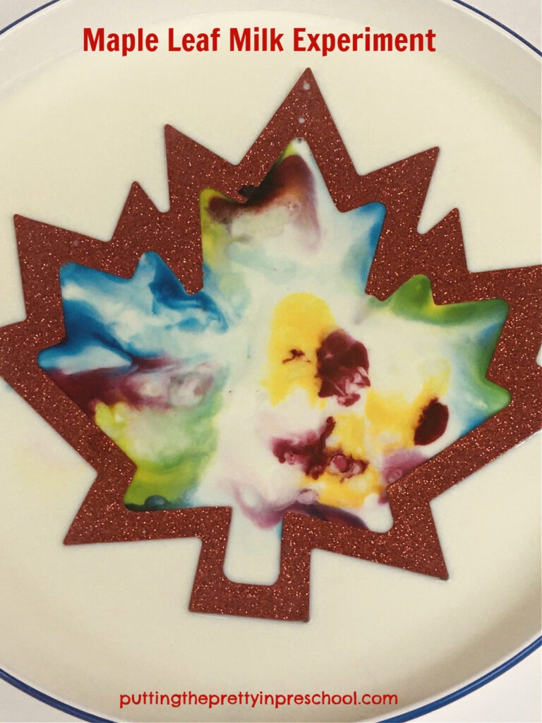 The colors slowly fill out the maple leaf frame in this color magic milk experiment with an artistic twist.
