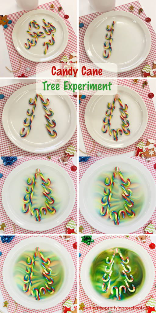 Design a tree on a plate with mini candy canes. Pour water into the plate and watch what happens. Your audience will be wowed!