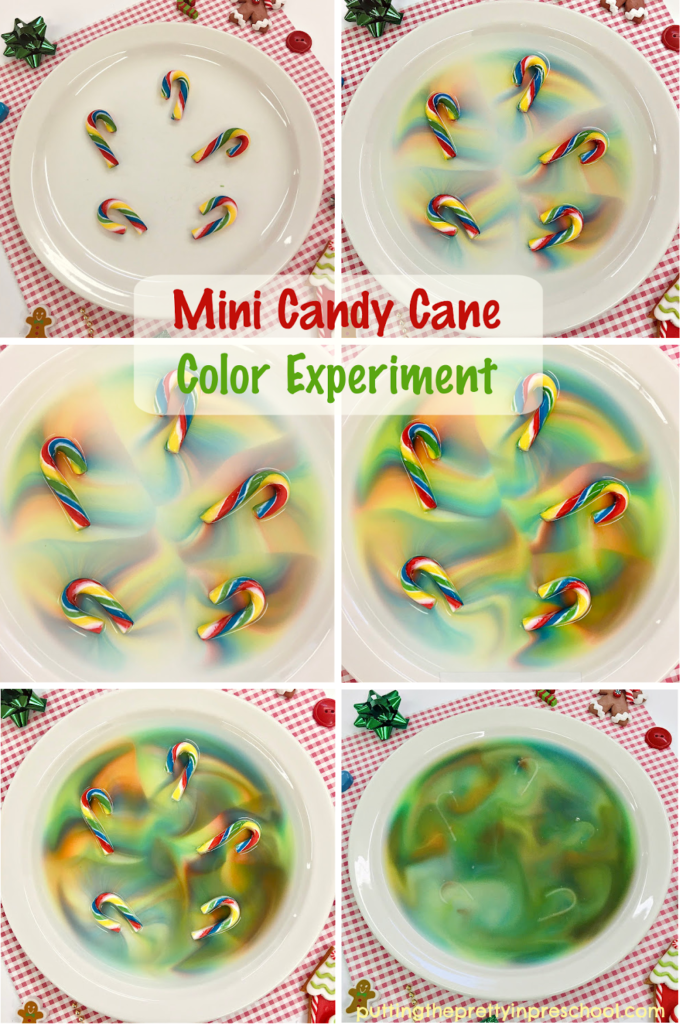 Watch the stunning color changes in this super simple mini candy cane science experiment. Try it today!