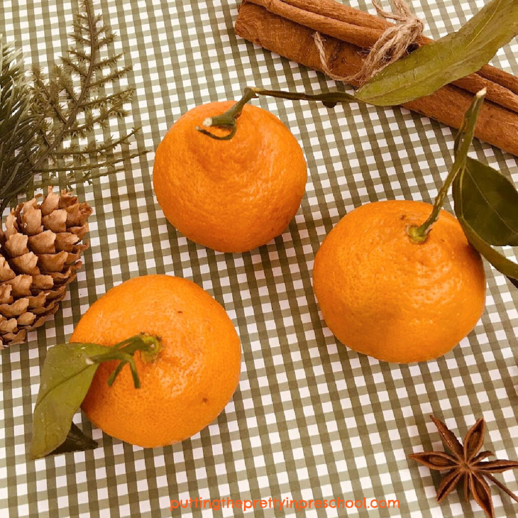 Mandarin oranges with stems and leaves attached indicate freshness and represent wishes for long life and fertility in Chinese New Year celebrations.