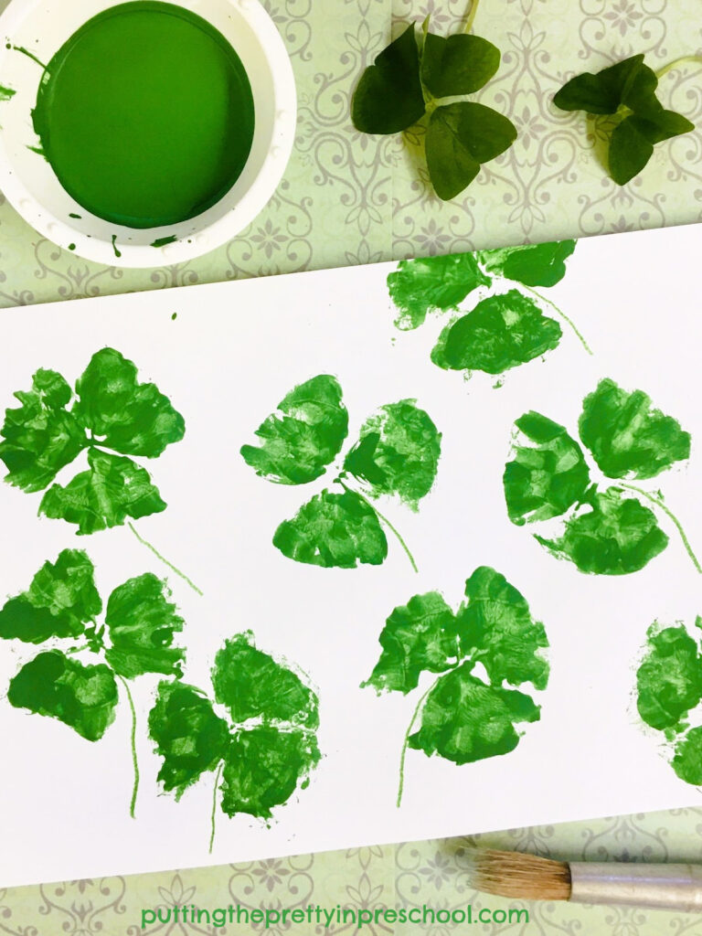 Beautiful shamrock leaf print art with leaves from the Oxalis Regnelli plant. This is a nature art project that is perfect for St. Patrick's Day.
