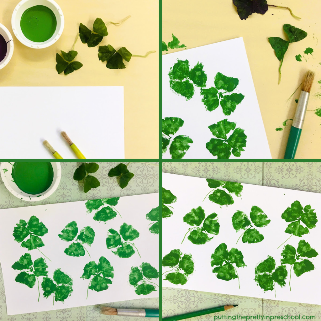 Steps to make beautiful shamrock leaf print art. This is an easy-to-do all-ages nature art project
