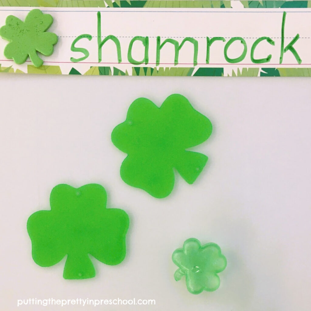 An opportunity to sort shamrocks on a St. Patrick's Day light table filled with green transparent loose parts.