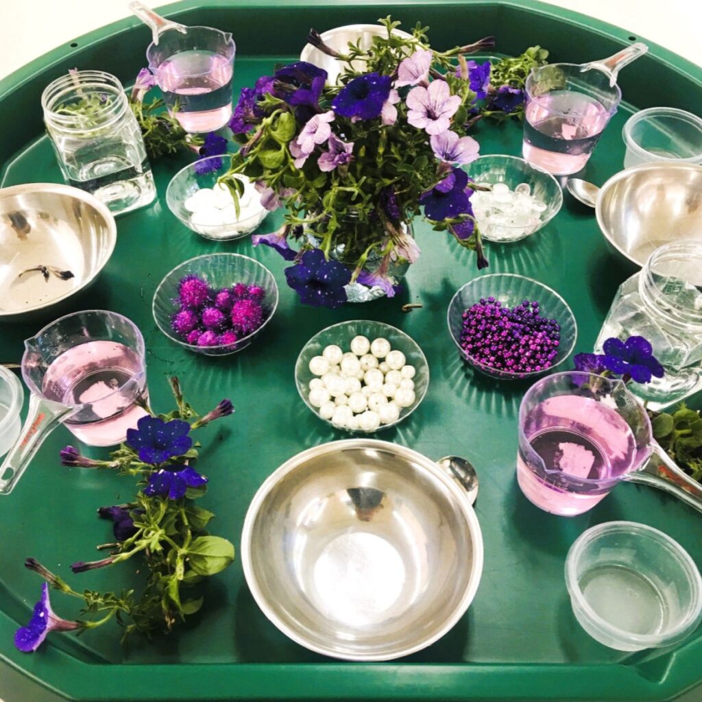 Purple and white loose parts and similar colored petunias are the highlights of this petunia flower active world tray sensory play invitation.