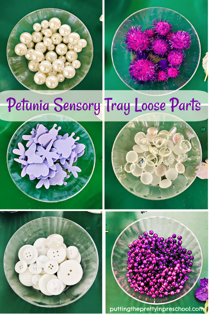 Pretty purple and white loose parts are the perfect addition to a petunia flower sensory tray your little learners will love to explore.