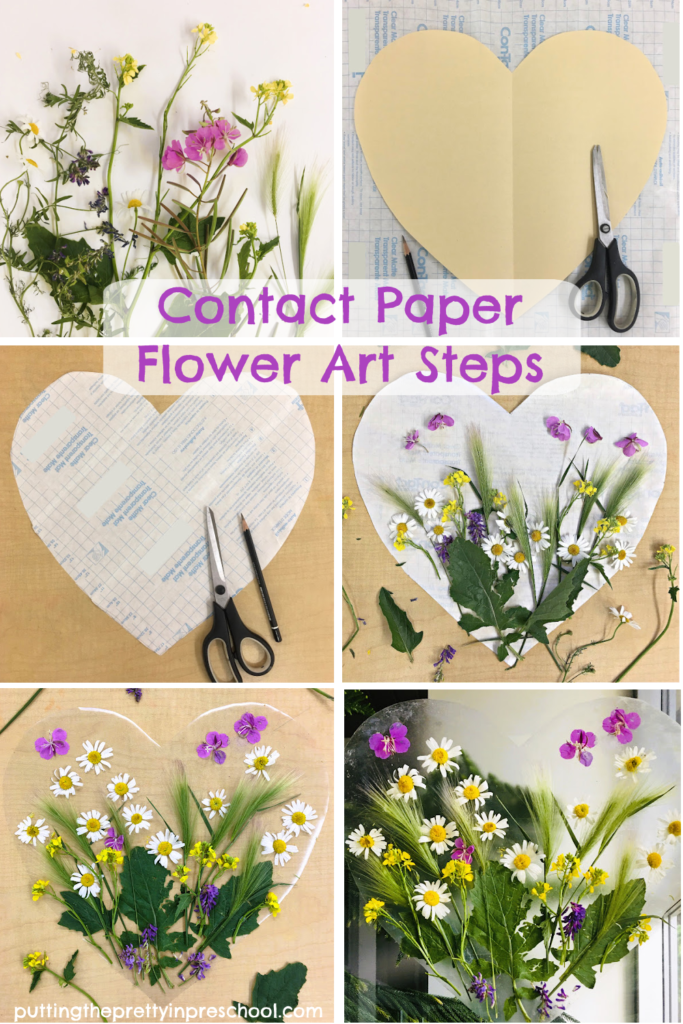 Steps to create oh-so-pretty contact paper flower art using flowers and foliage found in the wild. A beautiful, transient nature art project.