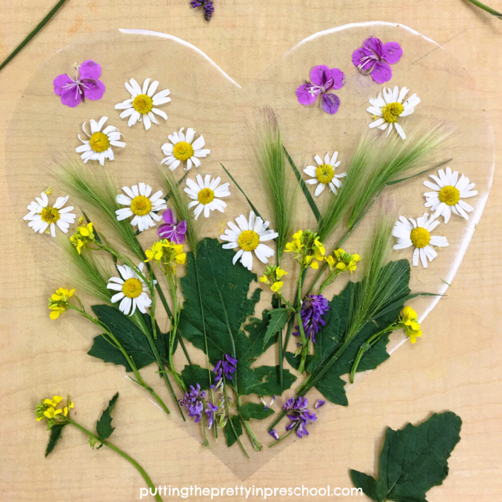 Create oh-so-pretty contact paper flower art using flowers and foliage found in the wild. A beautiful, transient nature art project.