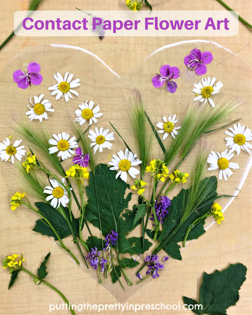 Create oh-so-pretty contact paper flower art using flowers and foliage found in the wild. A beautiful, transient nature art project.