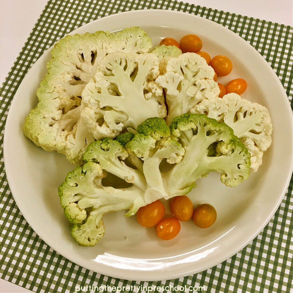 Green and cream cauliflower cut lengthwise into slabs to compare inside and outside colors.