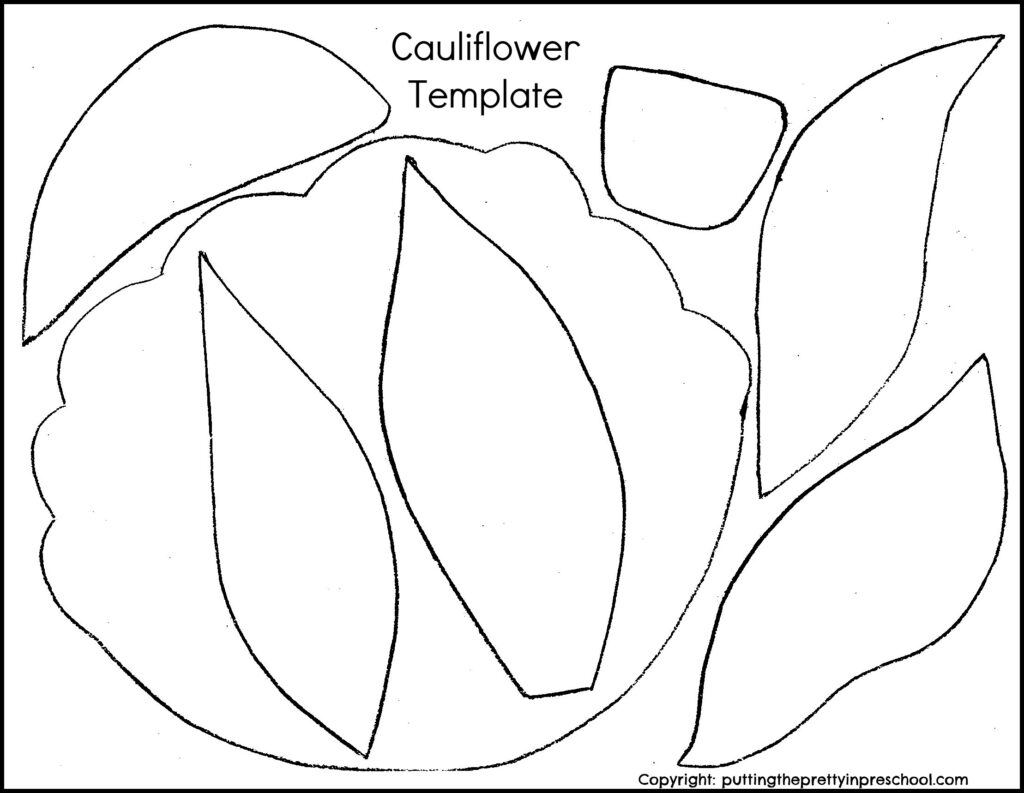 Download this free cauliflower vegetable template to use for arts and crafts activities. Make purple, orange, green, and cream cauliflower paper crafts.