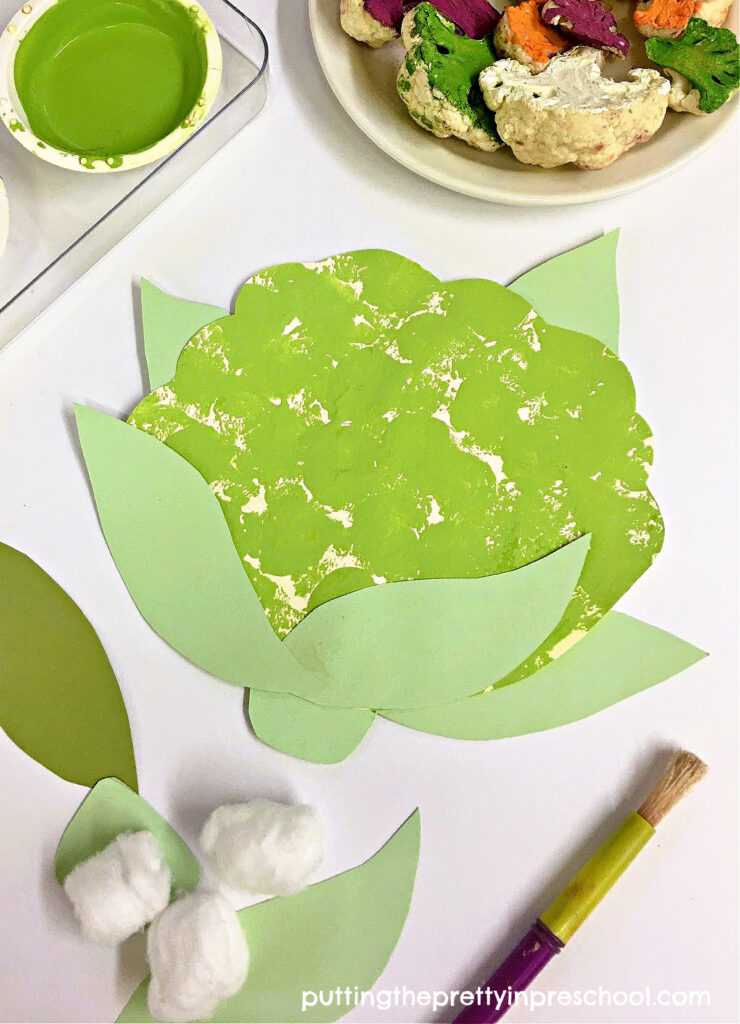 How to make a green cauliflower paper craft. This craft incorporates a cotton ball painting technique.