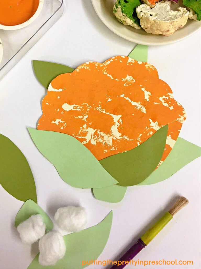 How to make an orange cauliflower paper craft. This craft incorporates a cotton ball painting technique.