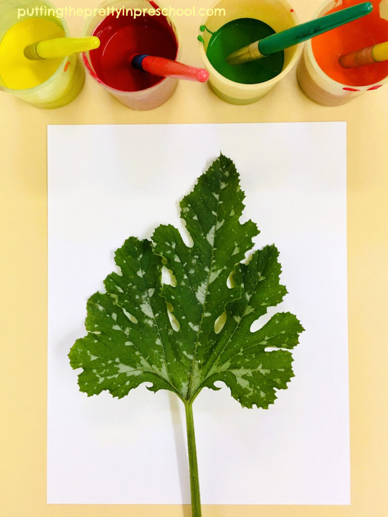 A large, silver-speckled zucchini leaf ready to paint for a leaf printmaking activity.