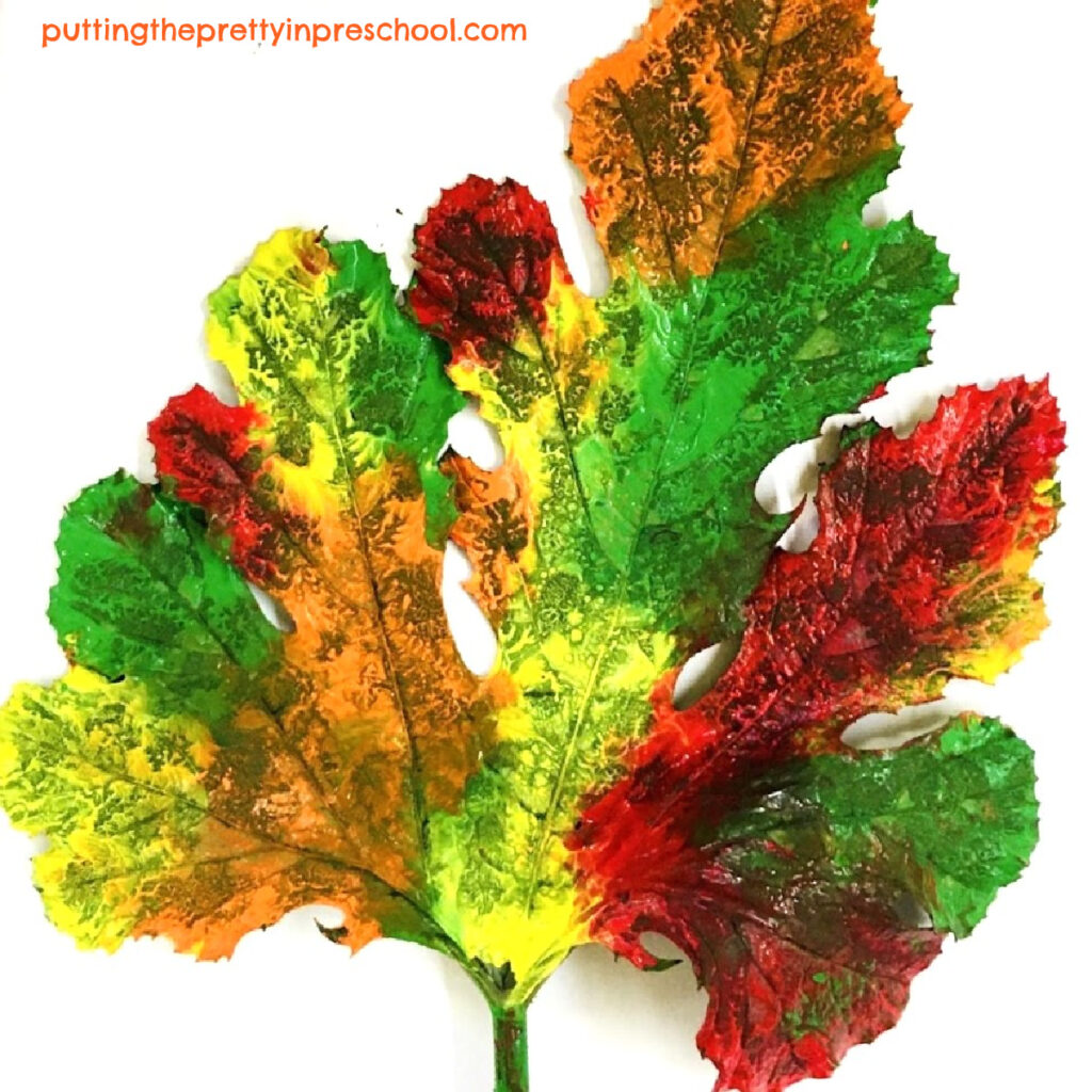 A painted zucchini leaf used in printmaking can be displayed for a few days or weeks as transient art.