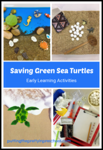 Green sea turtle activities for early learners. Sensory bin, small world, art and dramatic play for preschool and kindergarten children.