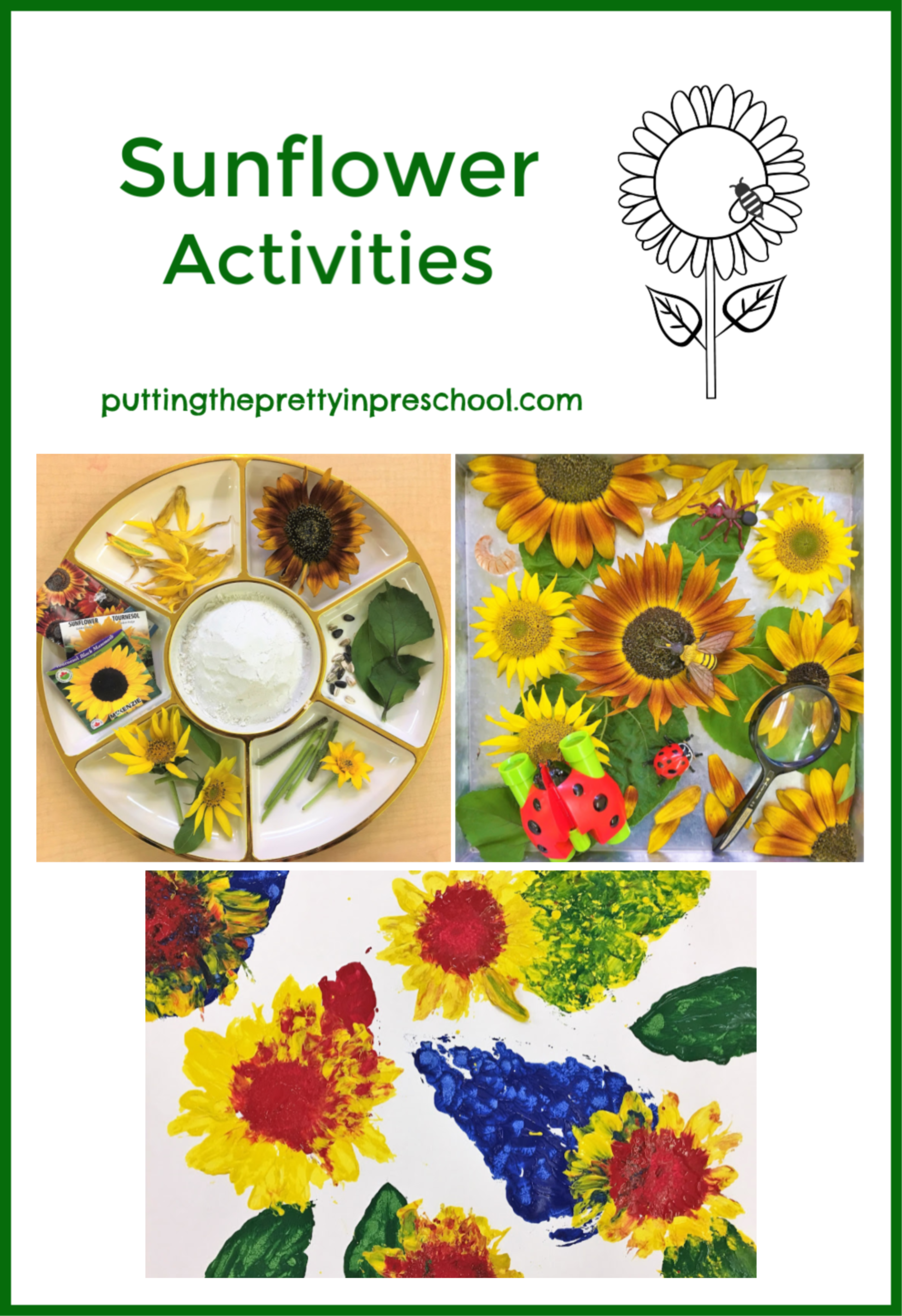 Activities With Sunflowers - Putting the Pretty In Preschool