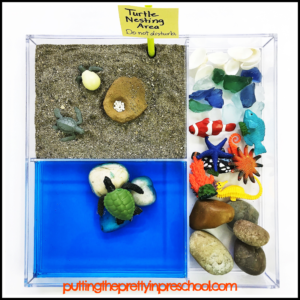 Sea Turtle Theme Activities