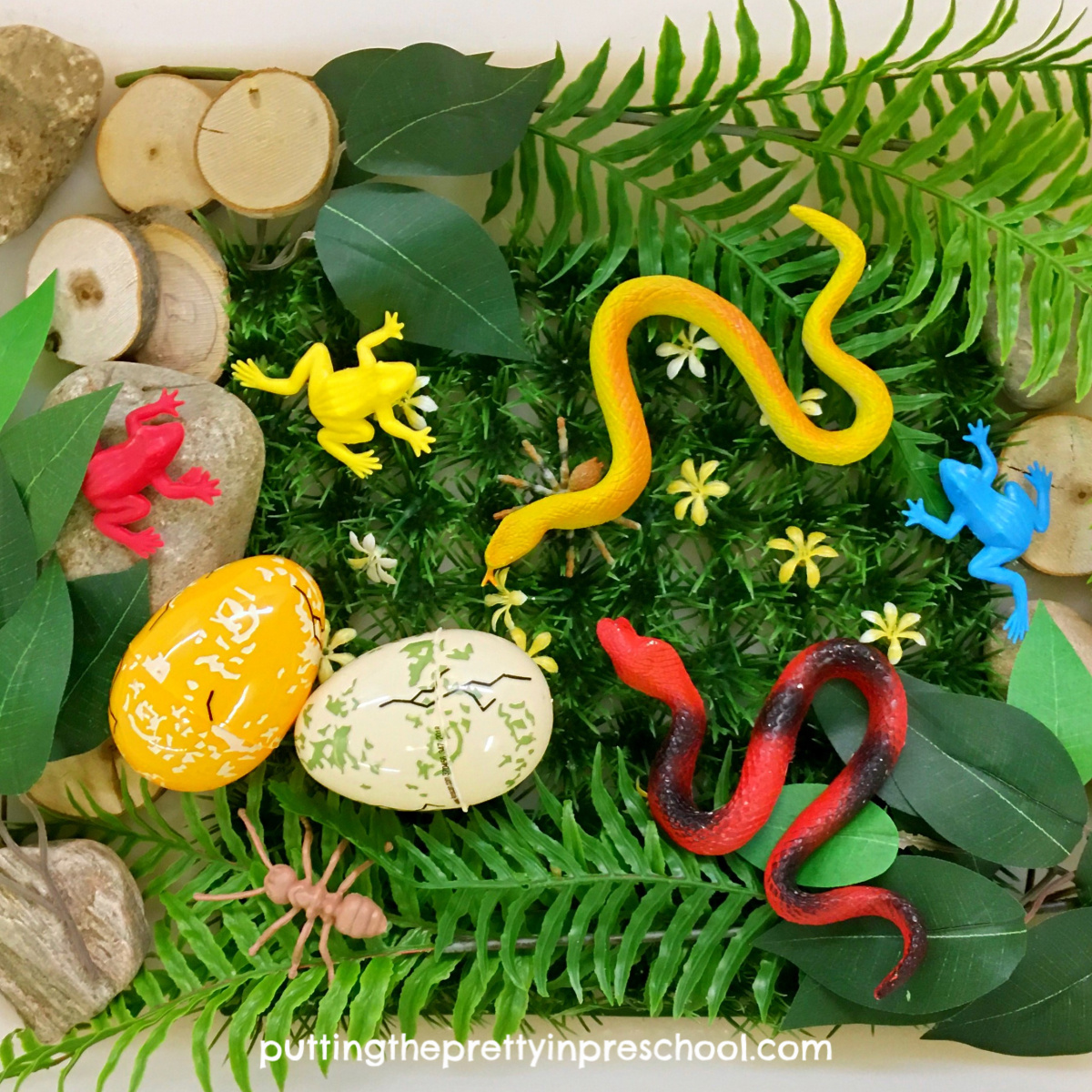 Reptile Theme Activities - Putting The Pretty In Preschool