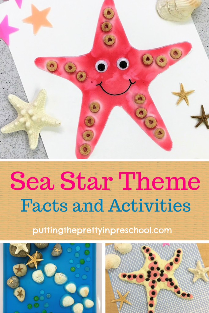 Sea star theme activities for early learners. Art, sensory, and math activities featured. Sea star facts and links to resources included.