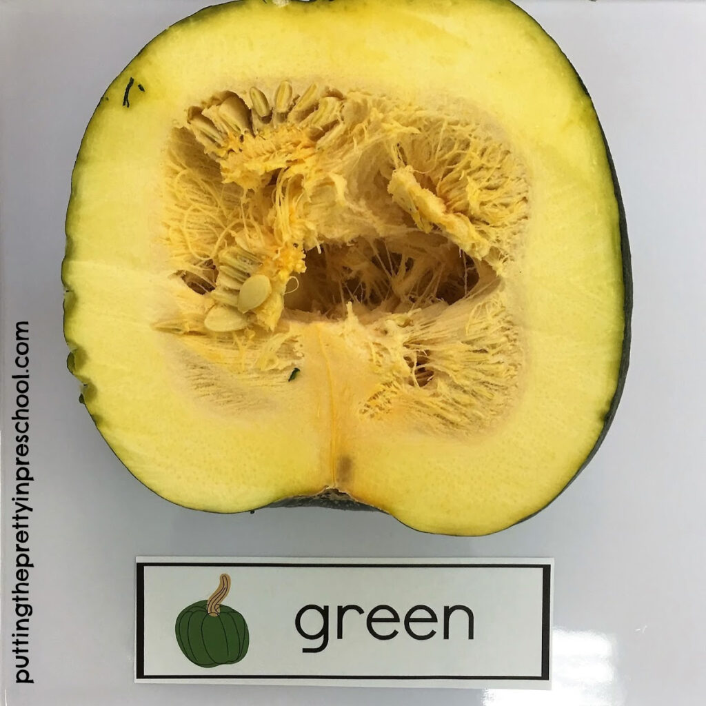 Green pumpkin showing pulp and seeds.