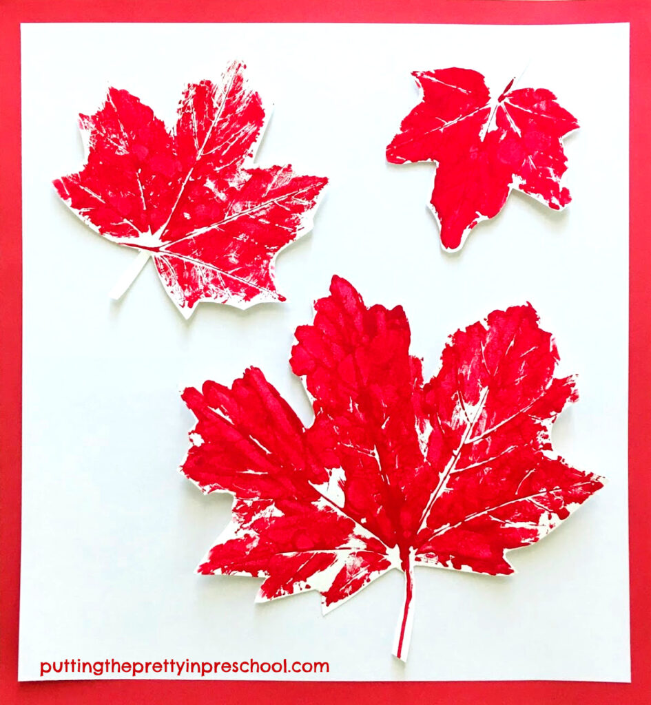 Displayed maple leaf paint print art. Cut prints are attached to a paper background with double-sided tape.