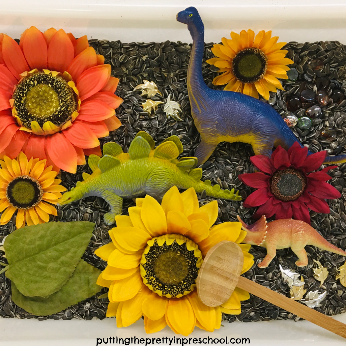 Sunflower Seed Sensory Bin Activities