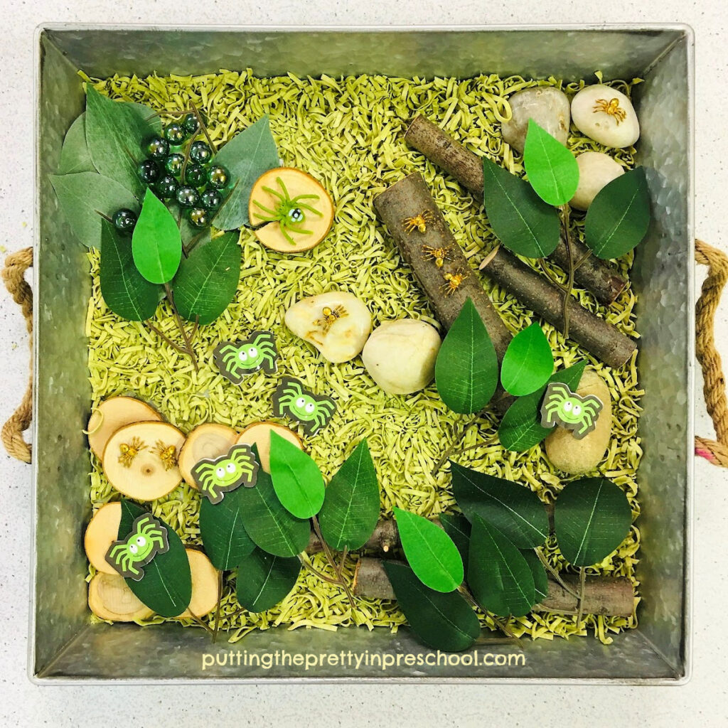 Green huntsman spider-inspired sensory tray using spinach noodles as a base.