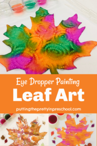 Stunning eye dropper leaf art that is quick and easy to create. An all- ages activity using supplies commonly found in the home.
