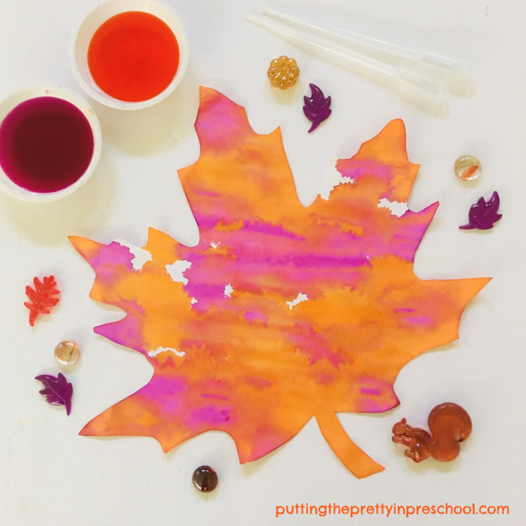 Eye dropper painting on a maple leaf with magenta and orange liquid watercolors.
